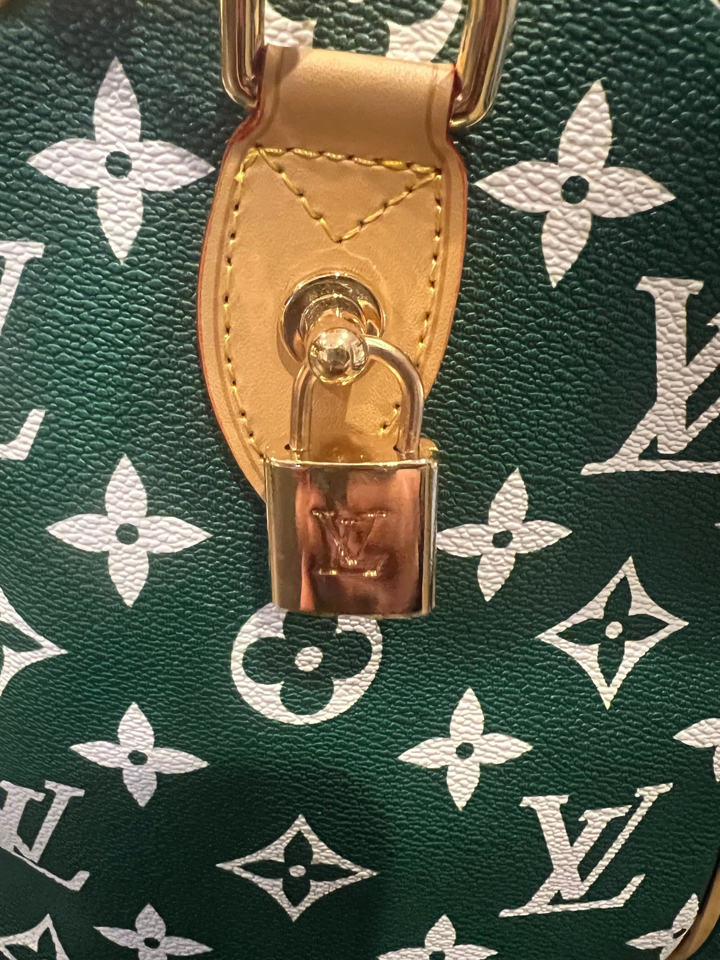 Green LV Speedy 25 Dupe Handbag